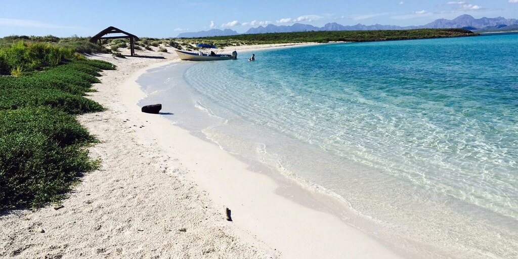 Sheinbaum afirma que turistas pueden visitar Baja California Sur tras detención de presuntos integrantes de 'Los Mayos' - Infobae