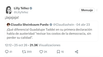 La senadora panista, Lilly Téllez criticó los dichos de la presidenta Claudia Sheinbaum sobre Guadalupe Taddei en 2023
