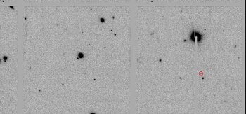 El descubrimiento se realizó en