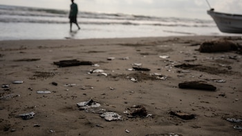 “No hay crisis ambiental más peligrosa que un gobierno que miente”, PAN sobre el derrame de petróleo
