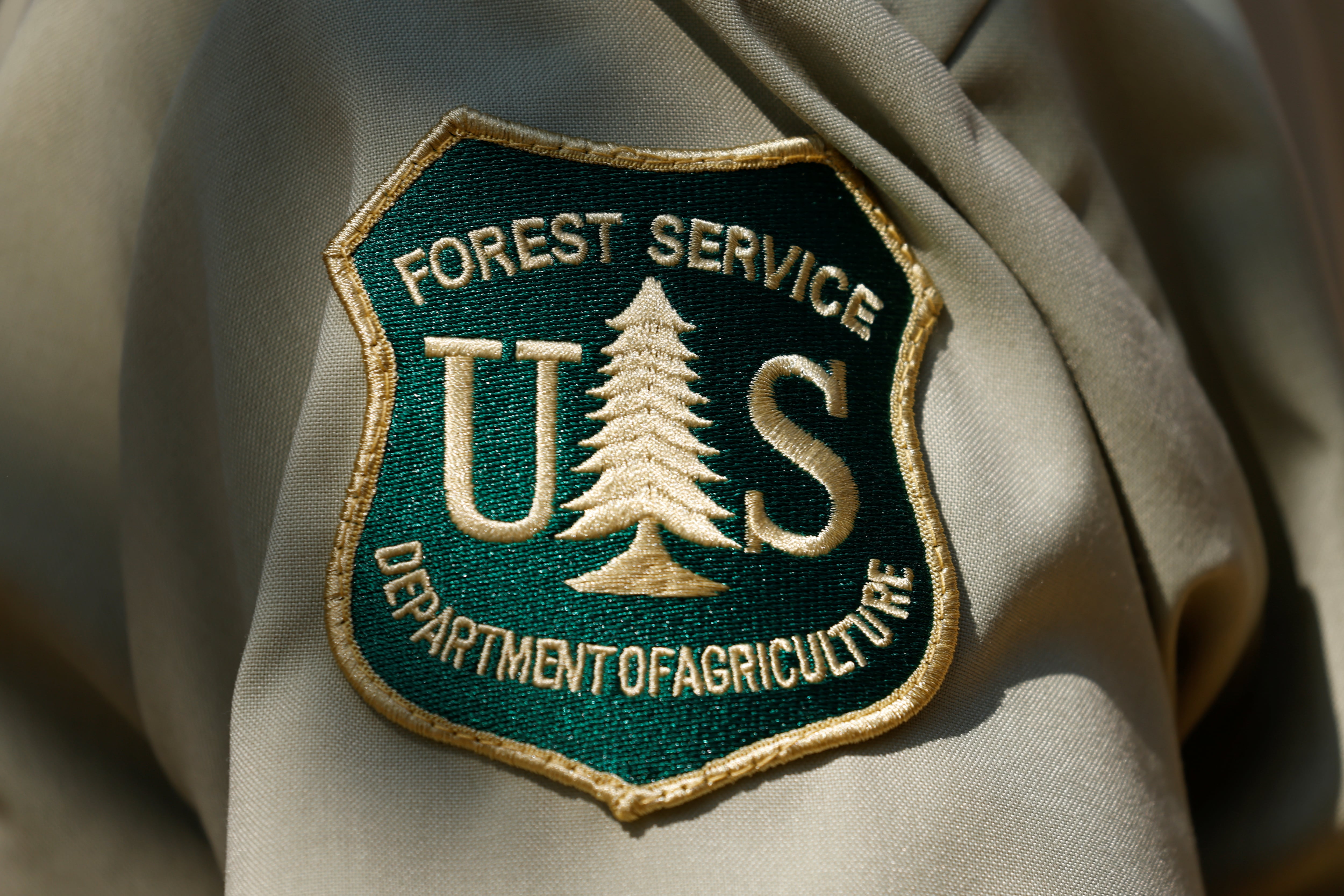 Integrantes del Forest Service se preparan para enfrentar una nueva temporada de incendios en un contexto de menor dotación y recursos (REUTERS/Mike Blake)