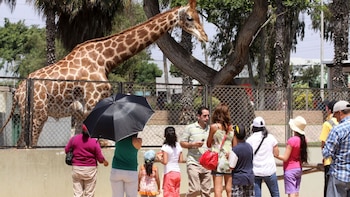 Una visita al siempre atractivo