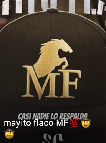 (Tomada de @natsecboogie)