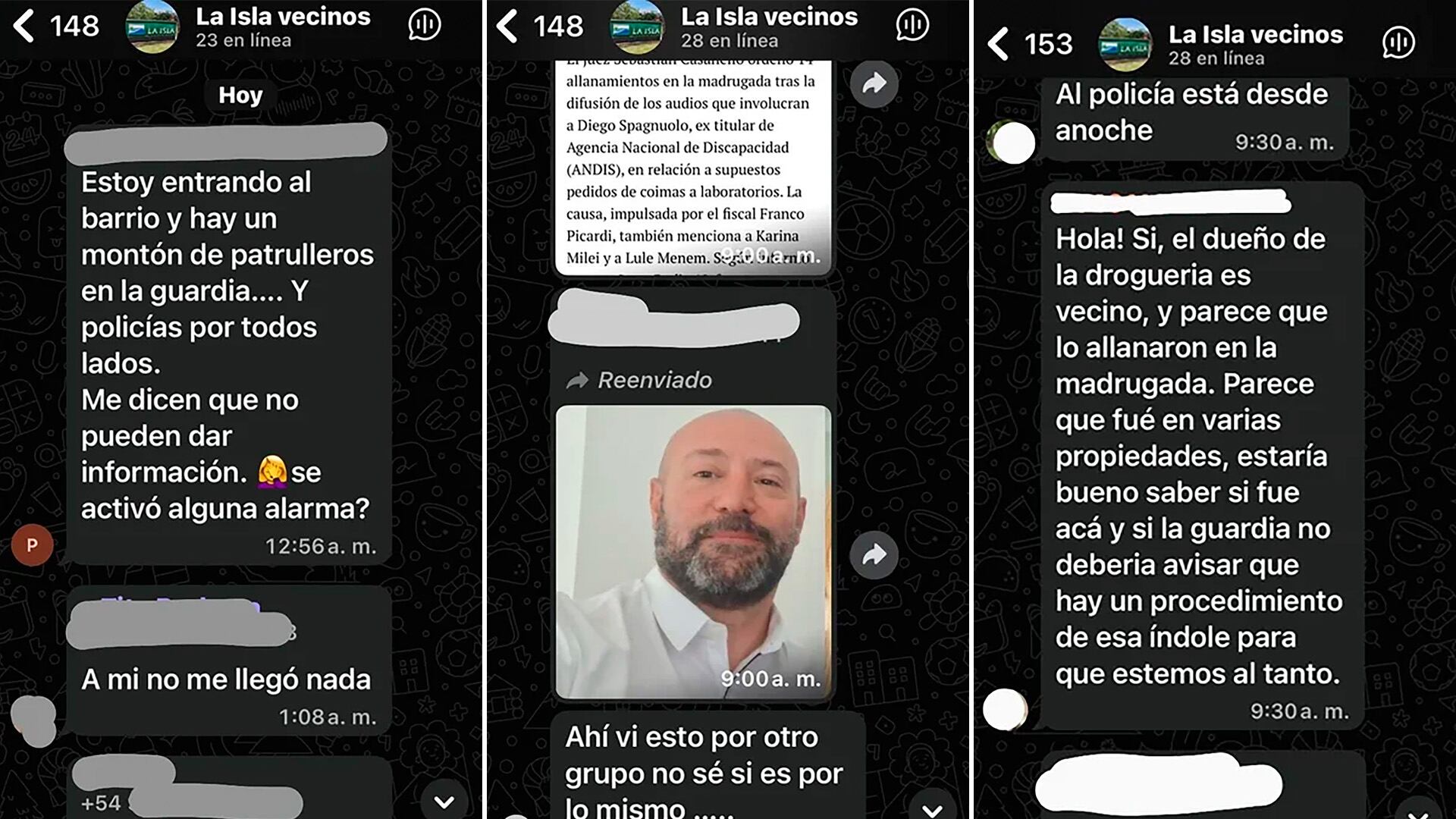 Algunos de los chats de los vecinos de La Isla de Nordelta (NA)