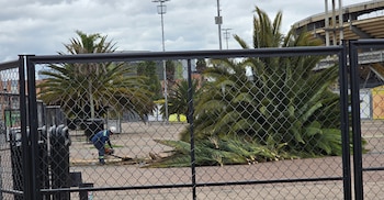El Campín