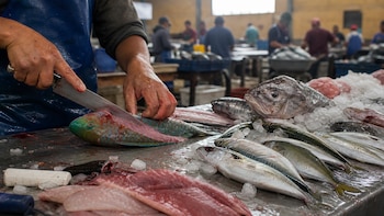Suben los precios del pescado por la menor oferta en Villa María del Triunfo: Bonito y jurel se disparan ante proximidad del fenómeno El Niño