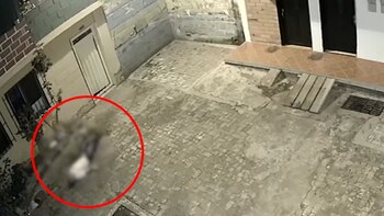 Mujer se lanzó desde un