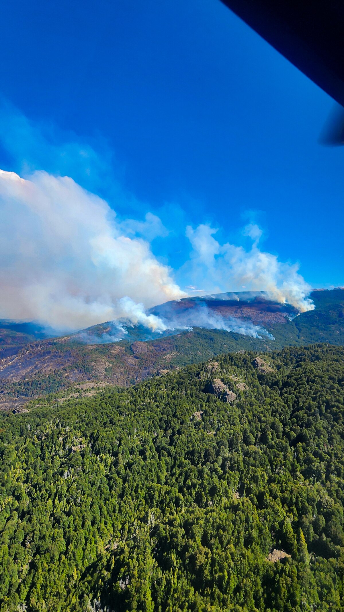 Incendio en Rio Negro