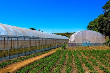 Adriana Mira y otra vendedora