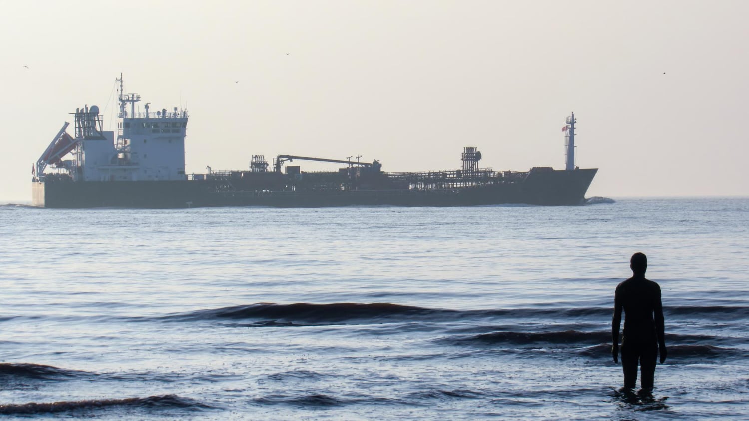 La resolución se sumó a los reclamos de más de 100 personas científicas mexicanas e internacionales, quienes rechazaron el desarrollo de terminales de exportación de gas en el Golfo de California por los riesgos que identificaron para especies marinas, comunidades costeras y el clima.