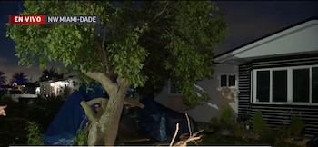 Fuertes vientos dejaron sin electricidad a unos 200 hogares en sectores de Miami, según Florida Power & Light y Telemundo 51 (Captura Telemundo Miami)