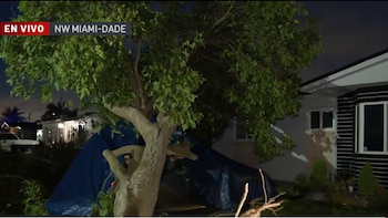 Tormentas azotan Miami: viviendas sin luz, árboles sobre casas y vigilancia meteorológica activa en tres condados