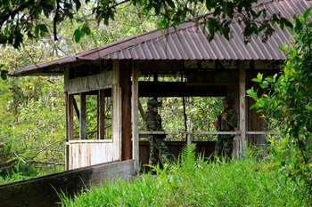 La OEA habló de los