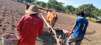 El Salvador avanza en la
