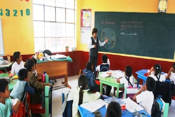 La ENLA 2024 ha revelado,