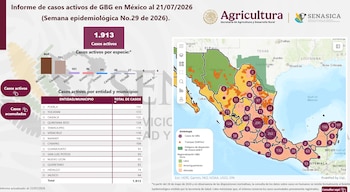 El registro a nivel nacional apunta a mil 913 casos activos de Gusano Barrenador.