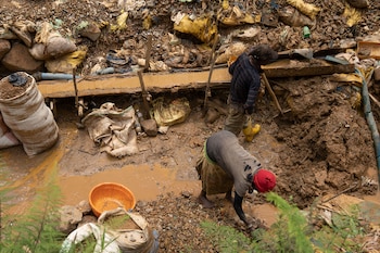 Hasta ahora se registraron 394