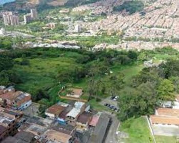 En la imagen, el lote