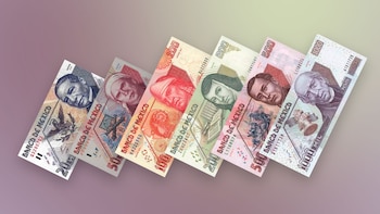 Los ejemplares están en proceso