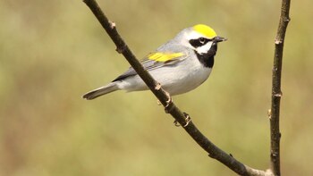 Esta problemática social demostró afectar