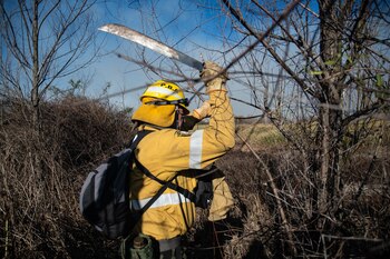 Brigadistas atraviesan zonas inhóspitas para