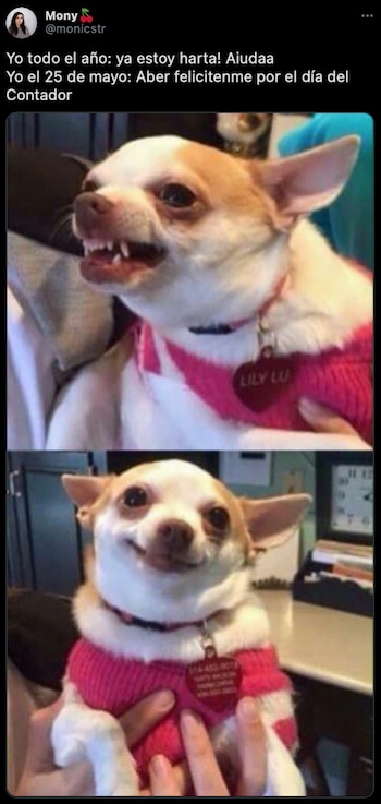 (Foto: captura de pantalla de