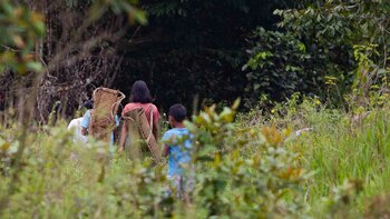 La conversión al Islam de