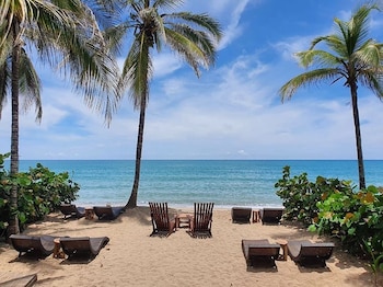 Comerciantes de Palomino aseguran que