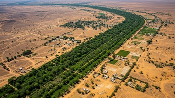 La Gran Muralla Verde: cómo África combate la desertificación y frena el avance del Sahara