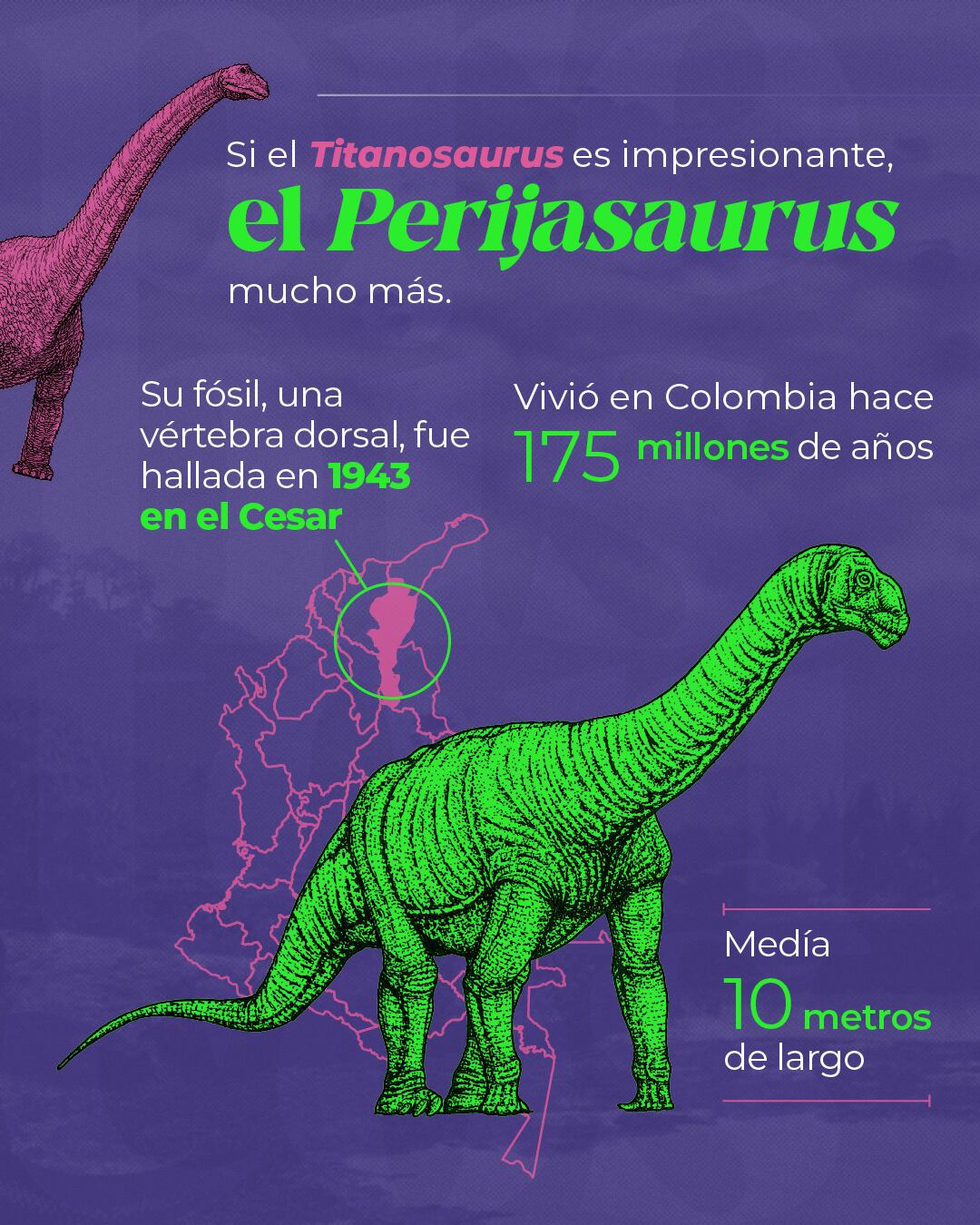 El Perijasaurus lapaz, un saurópodo herbívoro del Jurásico Medio, fue hallado en el Cesar y confirmado como nueva especie en 2022 - crédito Servicio Geológico Colombiano
