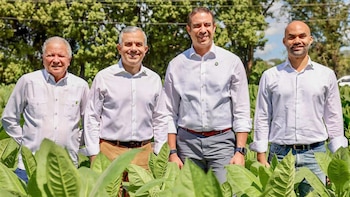 La industria del tabaco en