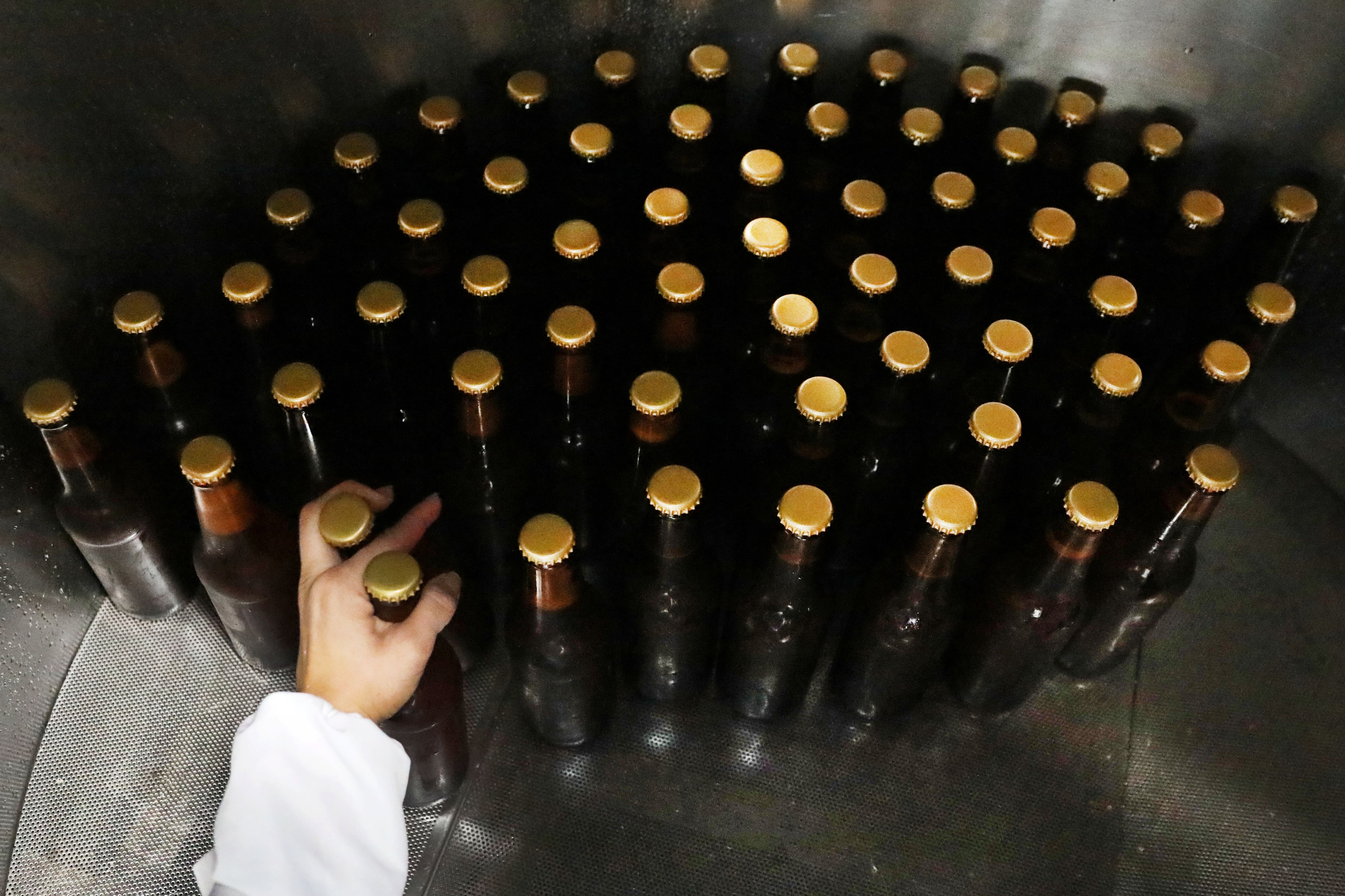 El impuesto selectivo a la cerveza creció 16.5% en julio y alcanzó una recaudación de 2,219.8 millones de pesos, según la DGII. (EFE/Carlos Ortega)
