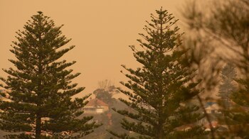 Nueva Gales del Sur con humo (Enredados por el mundo)