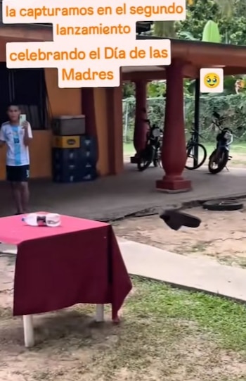 Usuarios aseguraron que el “entrenamiento de mamá mexicana” jamás se olvida.