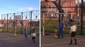 Las habilidades de la mascota