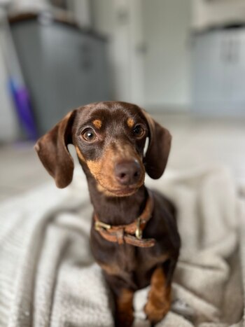 La primera foto de Twiglet