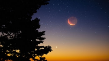 Diversos fenómenos astronómicos se presentarán