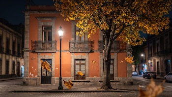 Por qué no debes tirar las hojas secas de los árboles que caen cerca de tu casa en otoño