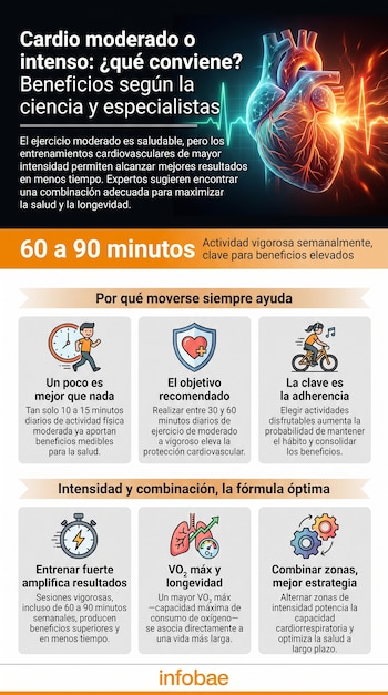 Infografía del corazón, texto cardio moderado e intenso, iconos de corredor, escudo con corazón, ciclista, cronómetro, pulmones con medidor, engranajes, logo Infobae.