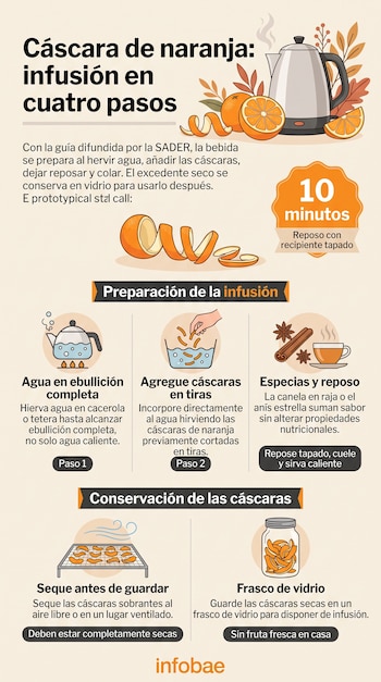 Infografía con ilustraciones de teteras, tiras de cáscara de naranja, canela, anís estrella y un frasco de vidrio sobre fondo claro.