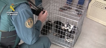 Detenido y extraditado desde Venezuela