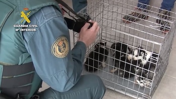 La Guardia Civil extradita desde