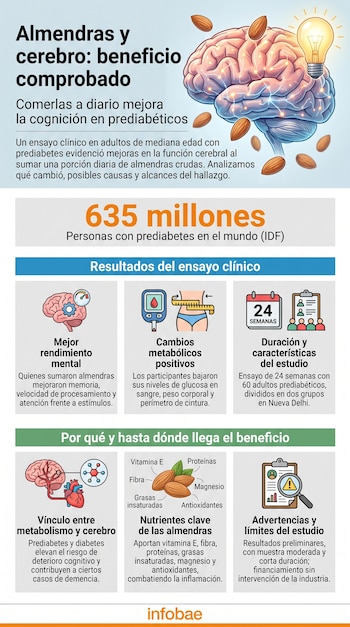 Infografía sobre almendras y cerebro con ilustraciones de un cerebro, una bombilla, almendras, e iconos de resultados de un ensayo clínico.