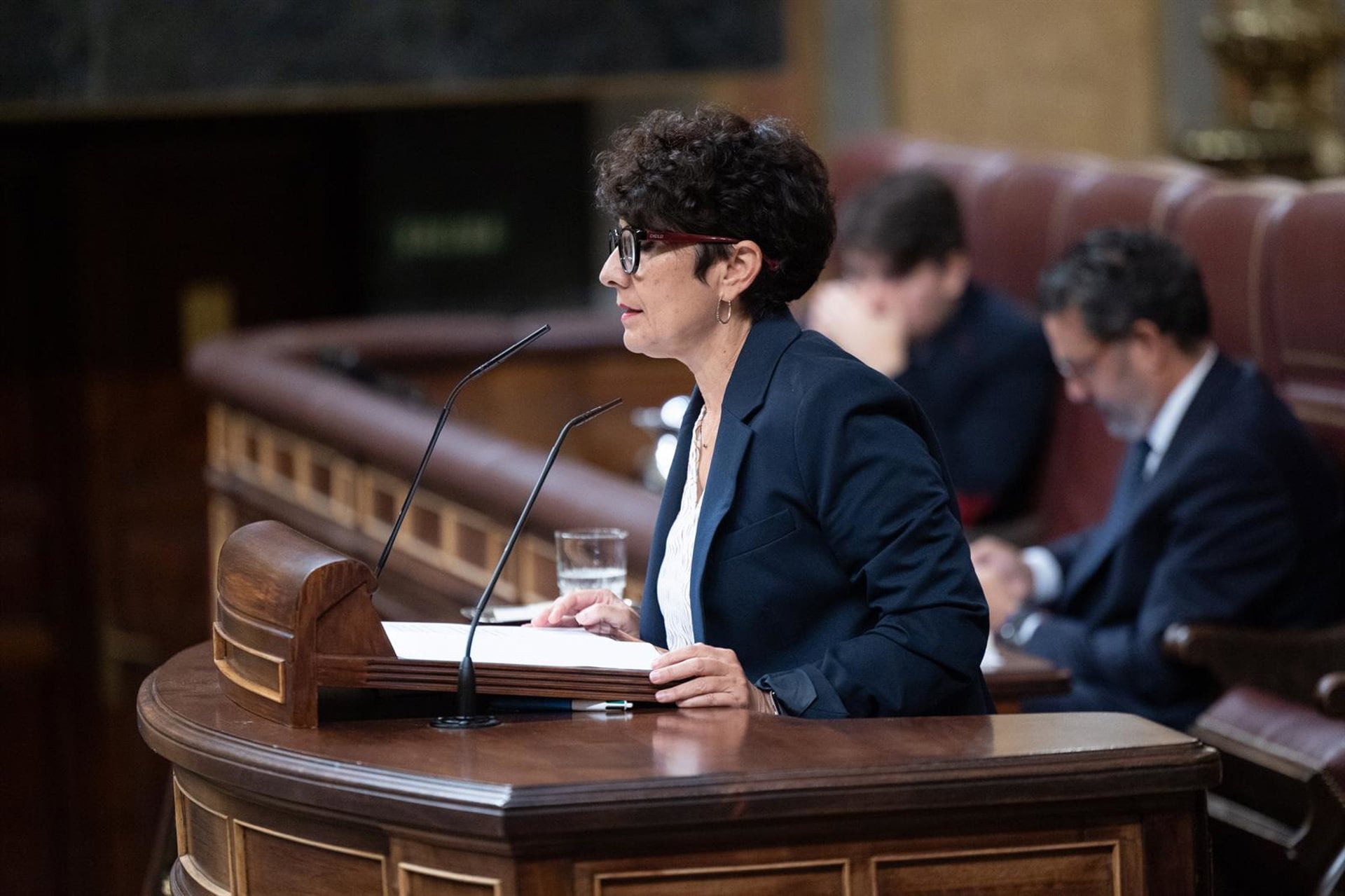 PNV asegura que no apoyará a "ningún gobierno que plantee involución democrática" y el PP "está de la mano de Vox"