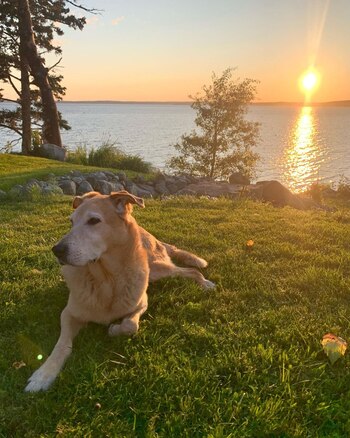 La familia que cuida del