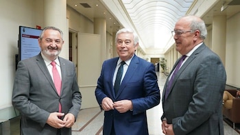 El PP gallego interpela en el Senado al Gobierno sobre el recurso ante el TC que afecta a eólica y dependencia