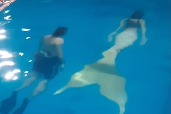 Dos personas nadan bajo el agua en una piscina. Un hombre con bañador corto y aletas, y una mujer con traje de baño y una cola de sirena