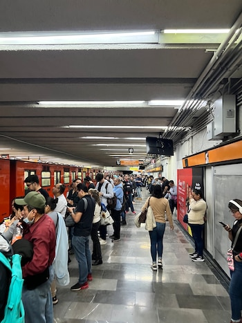 Avance en tiempo real de las diversas líneas de la red de transporte público capitalino.