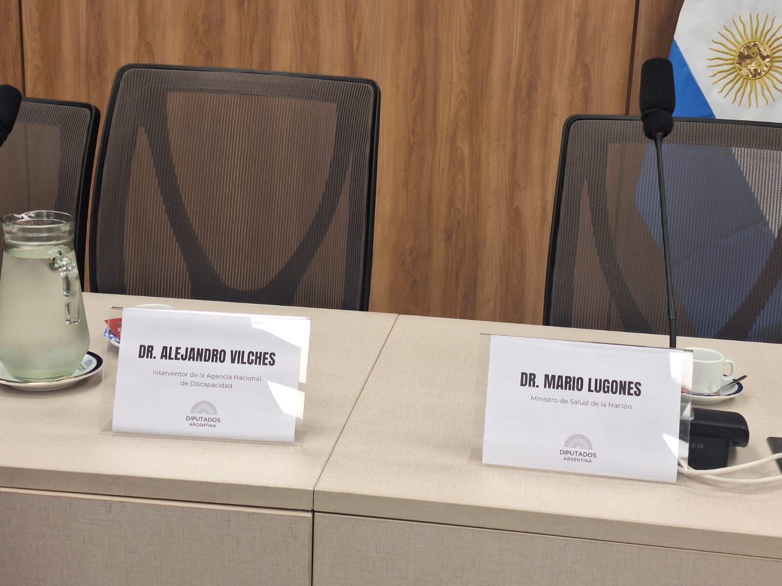 Sillas vacías de Lugones y Vilches