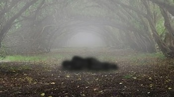 Un sendero boscoso envuelto en niebla densa, con árboles que forman un túnel natural. Una silueta oscura yace en el suelo en el centro de la imagen.